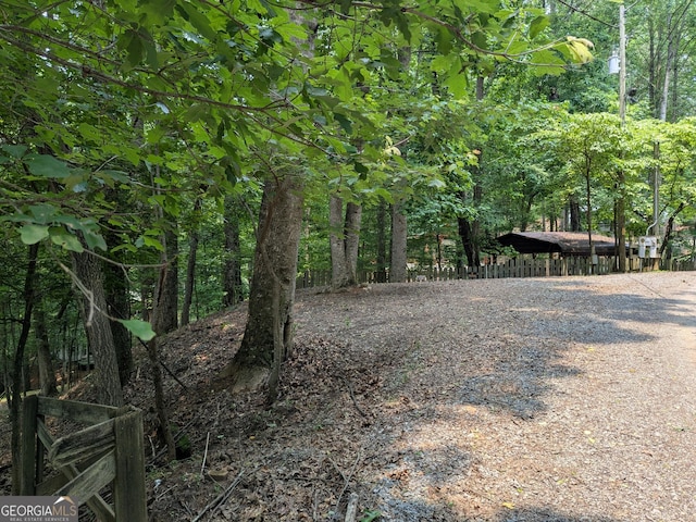 336 6th St, Ellijay, GA 30540 - view of woods