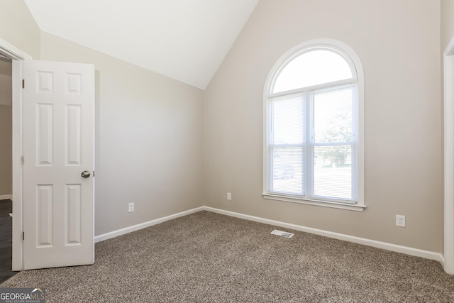 11102 Hunters Ln, Hampton, GA 30228 - spare room featuring lofted ceiling, carpet floors, and plenty of natural light