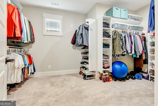 119 Waterview Cir, Newnan, GA 30263 - spacious closet with carpet flooring