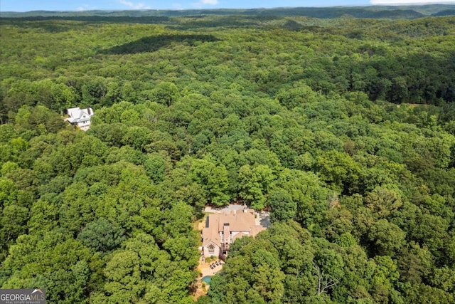 771 Rattlesnake Rdg, Dawsonville, GA 30534 - aerial view of property's location with a heavily wooded area