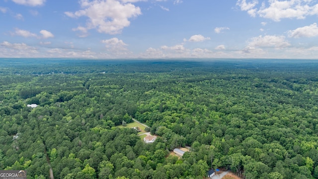 1000 Three Notch Rd, Buckhead, GA 30625 - bird's eye view of a forest