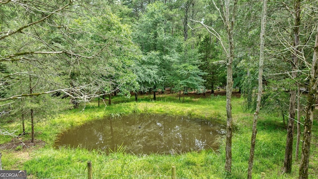 1000 Three Notch Rd, Buckhead, GA 30625 - view of local wilderness with a large body of water
