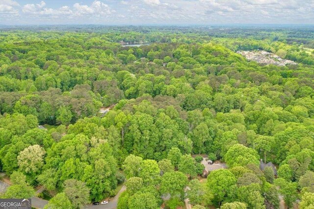 3493 Wood Acres Blvd, Duluth, GA 30096 - bird's eye view of a heavily wooded area