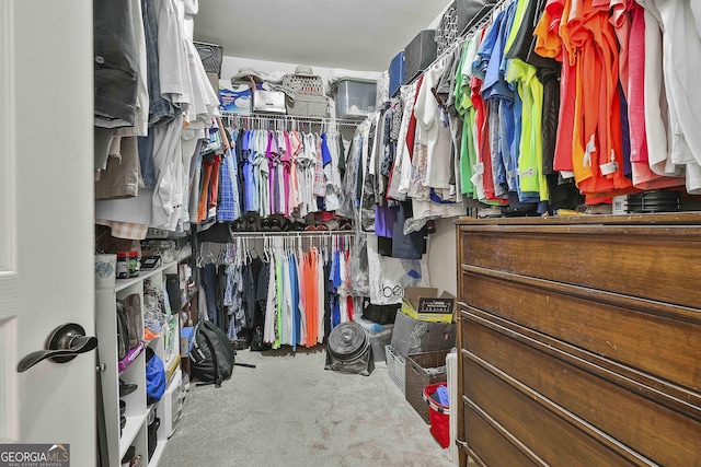 819 Firefly Ct, Griffin, GA 30223 - walk in closet with carpet flooring