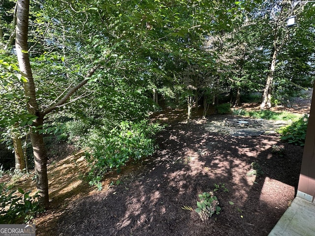 4265 Lansmoore, Suwanee, GA 30024 - view of local wilderness