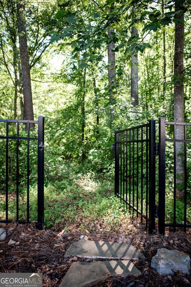 1032 Switchgrass Dr, Statham, GA 30666 - view of gate