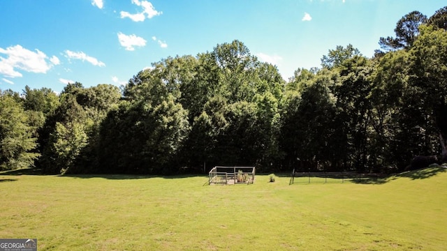 1032 Switchgrass Dr, Statham, GA 30666 - view of yard featuring a forest view