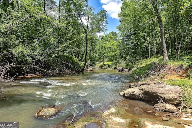 177 Selfridge Rd, Mcdonough, GA 30252 - water view