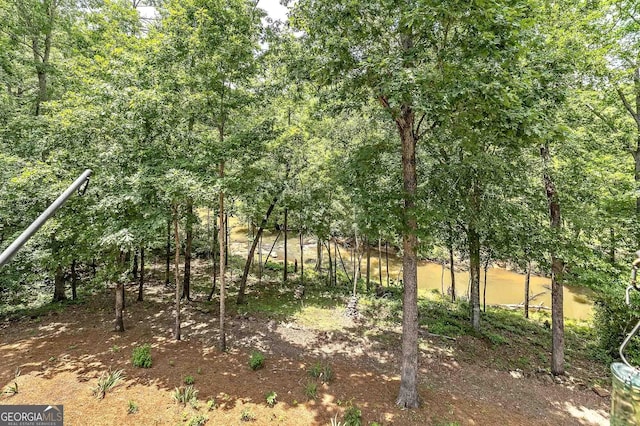177 Selfridge Rd, Mcdonough, GA 30252 - view of undeveloped land