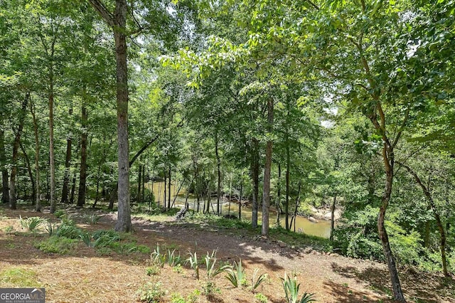 177 Selfridge Rd, Mcdonough, GA 30252 - view of wooded area