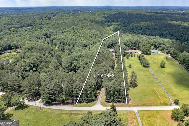 177 Selfridge Rd, Mcdonough, GA 30252 - aerial view of property's location featuring a forest and property boundaries highlighted