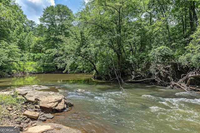 177 Selfridge Rd, Mcdonough, GA 30252 - water view with a forest