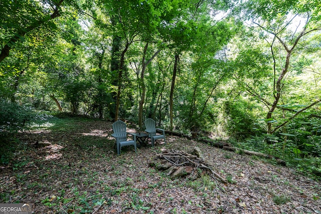 278 Fourth St, Athens, GA 30601 - view of yard with a wooded view