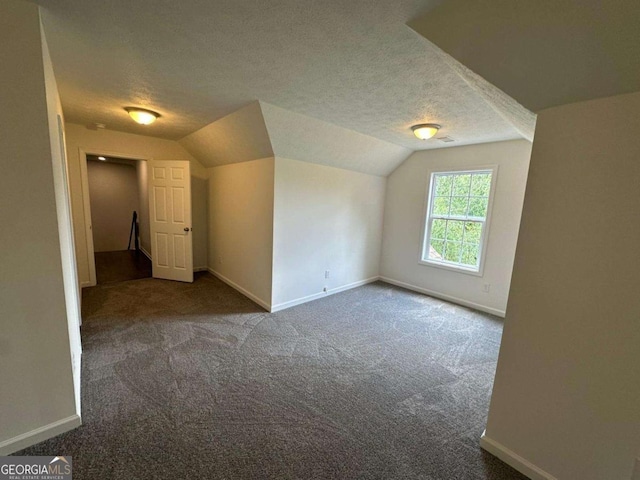 11 Long Branch Xing, Dahlonega, GA 30533 - additional living space with lofted ceiling, carpet floors, a textured ceiling, and baseboards