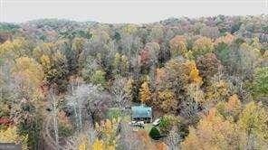 1614 Roy Rd, Ellijay, GA 30536