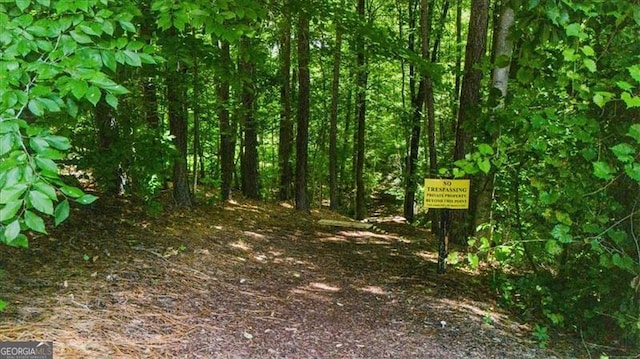 397 Cypher Dr, Suwanee, GA 30024 - view of nature