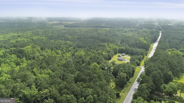 2317 Ga Highway 24, Statesboro, GA 30461 - drone / aerial view of a heavily wooded area