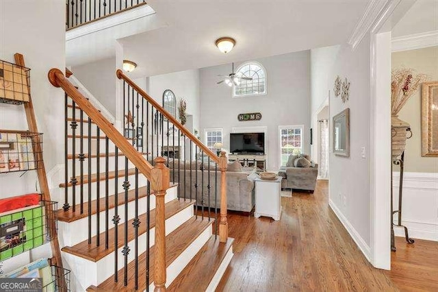 125 Shamus Way, Jefferson, GA 30549 - staircase with ceiling fan, wood finished floors, and crown molding