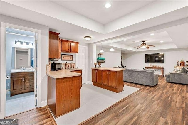 125 Shamus Way, Jefferson, GA 30549 - kitchen with a raised ceiling, open floor plan, light wood finished floors, a peninsula, and light countertops
