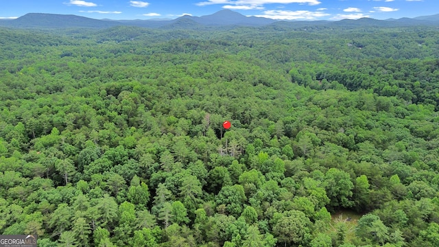 242 Eagles Nest Rd, Sautee Nacoochee, GA 30571 - bird's eye view of a heavily wooded area and mountains
