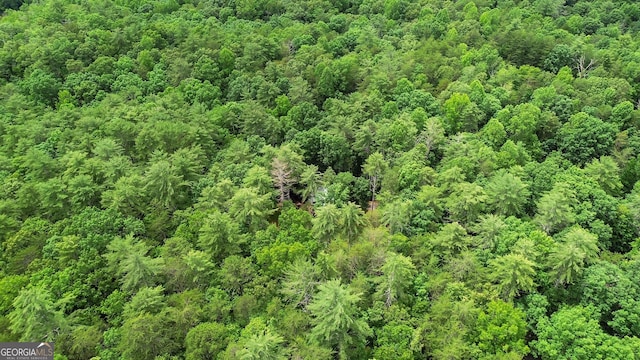 242 Eagles Nest Rd, Sautee Nacoochee, GA 30571 - view of property location