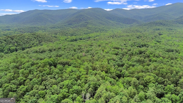 242 Eagles Nest Rd, Sautee Nacoochee, GA 30571 - view of mountain background with a heavily wooded area