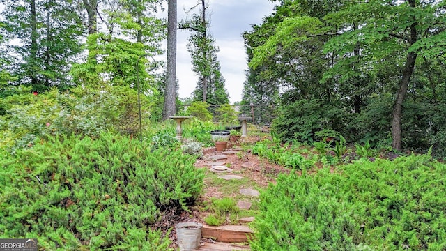 4313 Deep Springs Ct NW, Kennesaw, GA 30144 - view of yard
