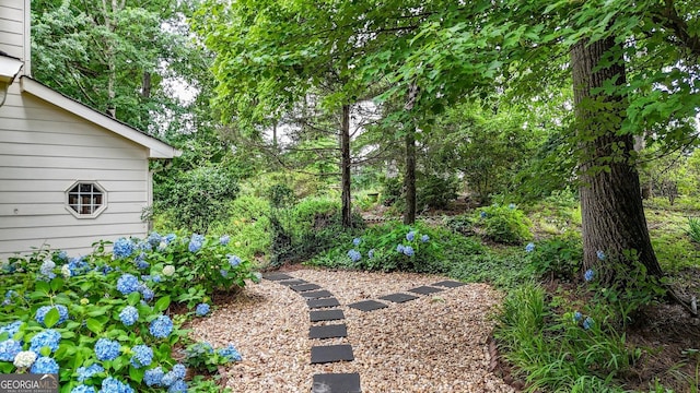 4313 Deep Springs Ct NW, Kennesaw, GA 30144 - view of yard