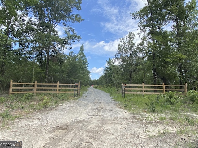 1667 Richard Moore Rd, Dublin, GA 31021 - view of road