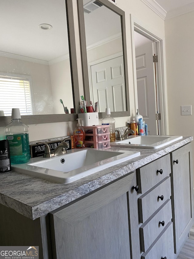 1667 Richard Moore Rd, Dublin, GA 31021 - bathroom with vanity and ornamental molding