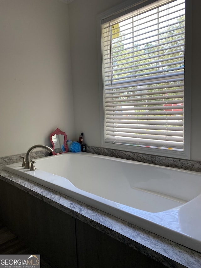 1667 Richard Moore Rd, Dublin, GA 31021 - full bathroom featuring plenty of natural light and a garden tub
