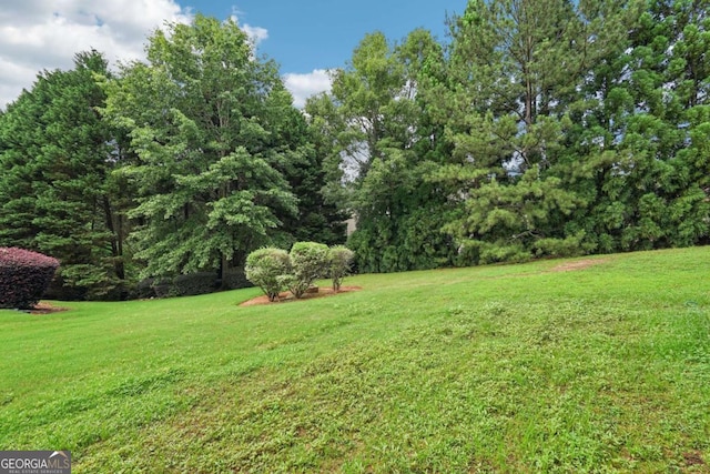 4508 Meadow Vista Trce, Lithonia, GA 30038 - view of green lawn
