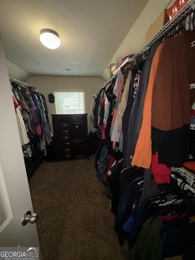 124 Gorham Gates Ct, Hiram, GA 30141 - spacious closet featuring carpet flooring and vaulted ceiling
