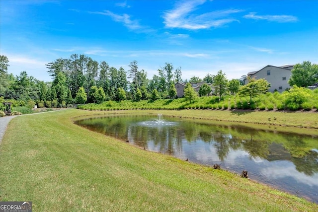 1099 Heyward Way, Alpharetta, GA 30009 - water view