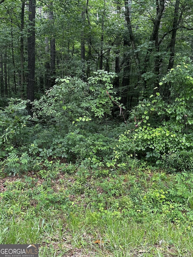 0 Ayers Rd, Bowdon, GA 30108