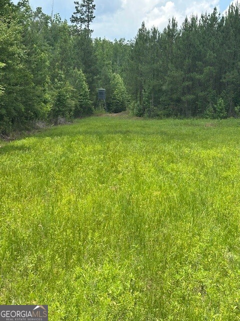 0 Jordan Rd, Shiloh, GA 31826