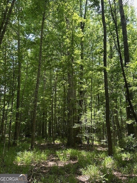 0 Jordan Rd, Shiloh, GA 31826