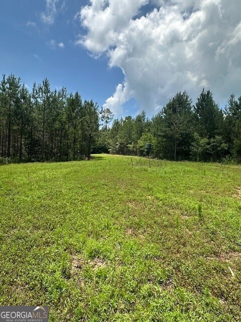 0 Jordan Rd, Shiloh, GA 31826