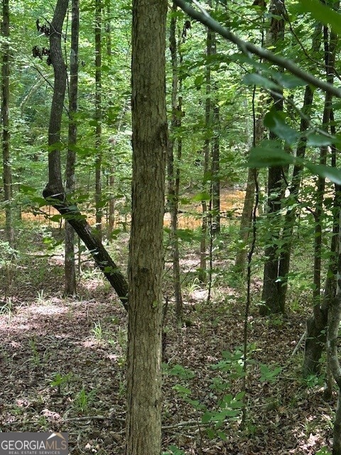 0 Jordan Rd, Shiloh, GA 31826
