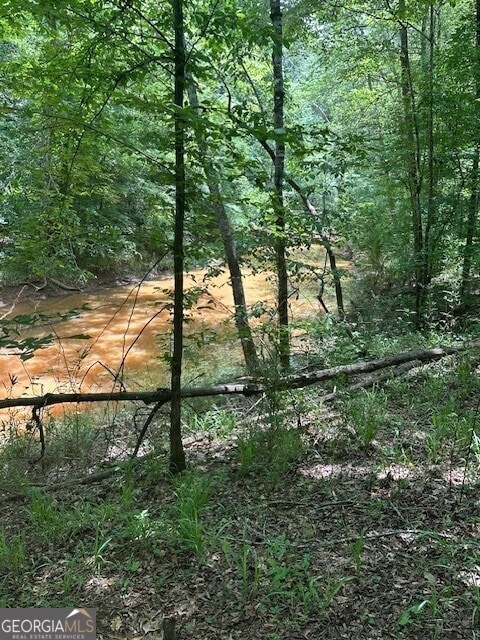 0 Jordan Rd, Shiloh, GA 31826