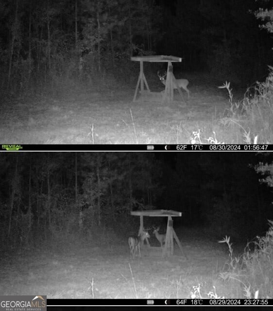 0 Jordan Rd, Shiloh, GA 31826