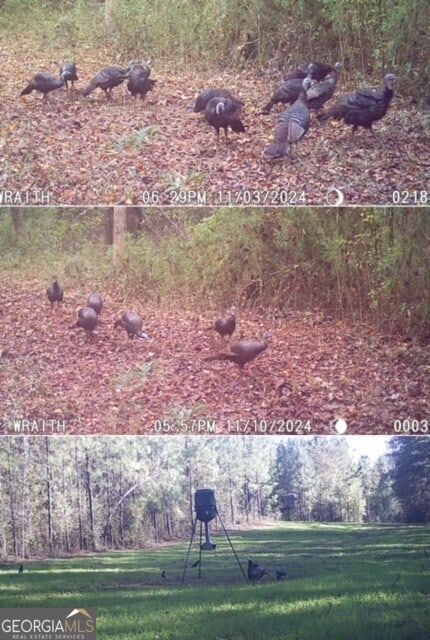0 Jordan Rd, Shiloh, GA 31826