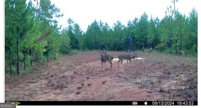 0 Jordan Rd, Shiloh, GA 31826