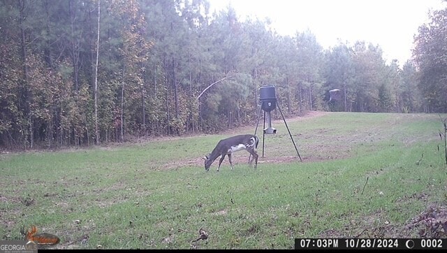 0 Jordan Rd, Shiloh, GA 31826