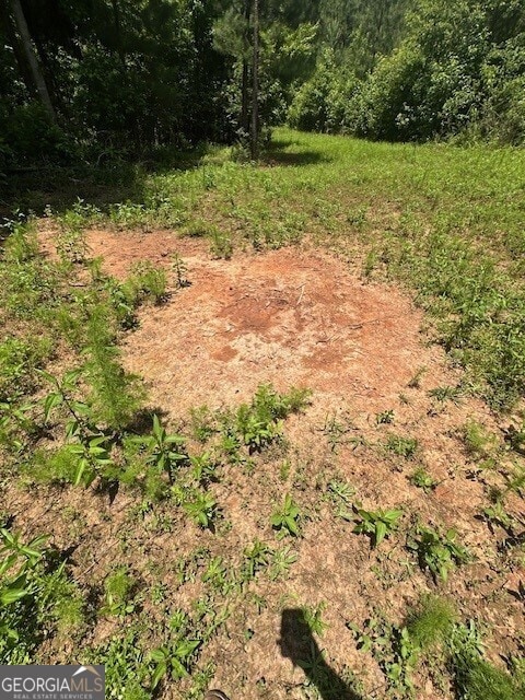 0 Jordan Rd, Shiloh, GA 31826