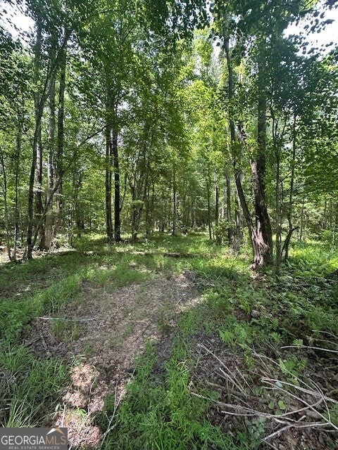 0 Jordan Rd, Shiloh, GA 31826