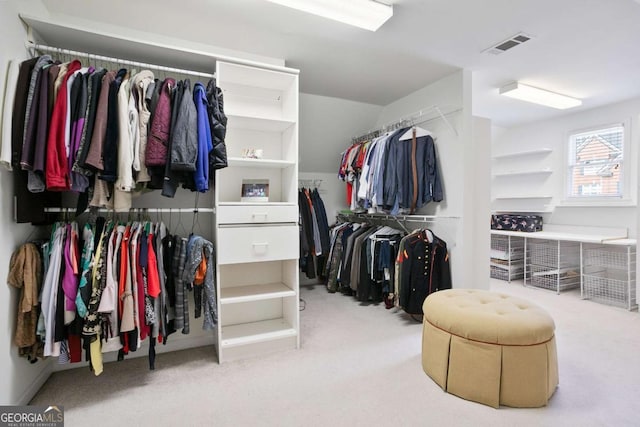 3741 Cape York Trce, Alpharetta, GA 30022 - walk in closet with carpet floors