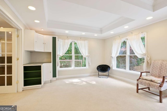 3741 Cape York Trce, Alpharetta, GA 30022 - sitting room featuring crown molding, light carpet, plenty of natural light, a tray ceiling, and recessed lighting