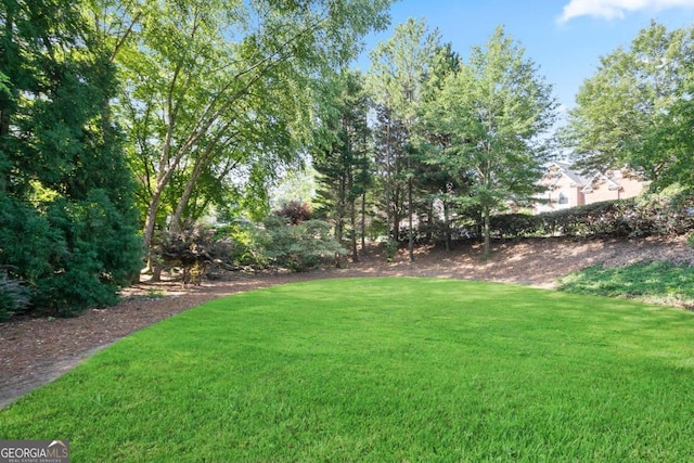 3741 Cape York Trce, Alpharetta, GA 30022 - view of grassy yard