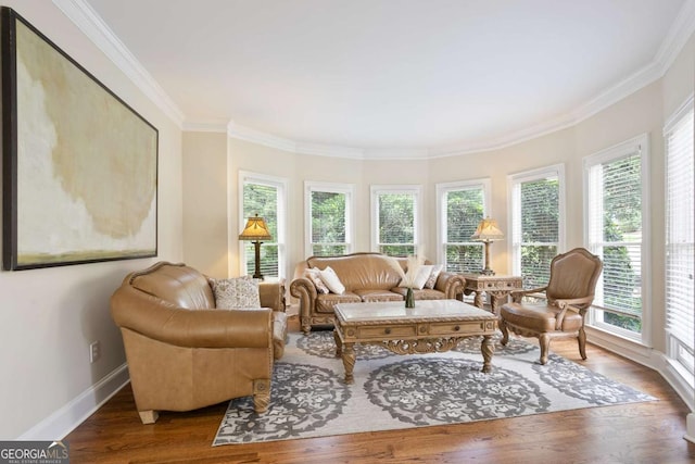 3741 Cape York Trce, Alpharetta, GA 30022 - living area featuring plenty of natural light, crown molding, and wood finished floors
